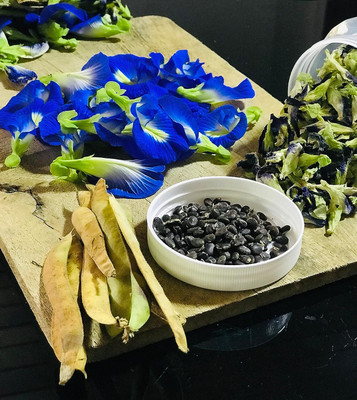 PGD Butterfly Pea Flower Seeds for Gardening Blue Shankupushpam/Aparajitha/Sangu Poo Seed(20 per packet)