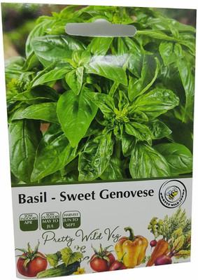CYBEXIS Basil Sweet Genovese Herb Seeds4000 Seeds Seed(4000 per packet)