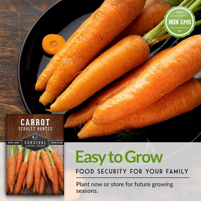 CYBEXIS XLR-91 - Scarlet Nantes Carrot - (2250 Seeds) Seed(2250 per packet)