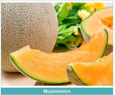 Quentova Muskmelon Sweet Melon-AHS-10E Seed(150 per packet)