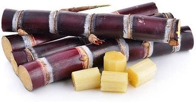 CLICK KART Desi organic Red sugarcane seeds laal ganna beej 4 to 5 inch seeds Seed(14 per packet)