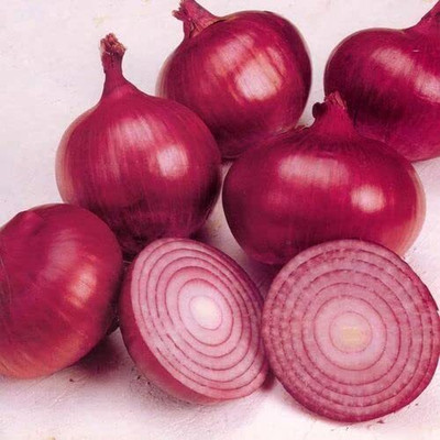 Aywal Onion Seeds- Hungarian Seed(25 per packet)