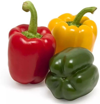 Quentova Organic Mixed Capsicum-2B-VDI Seed(75 per packet)