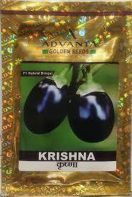 OMOM f1 hybrid upl advanta krishna brinjal Seed(2 g)