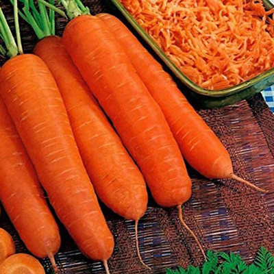 CYBEXIS High Yield Carrot Seeds-500 Seeds Seed(500 per packet)