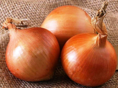 Biosnyg Fast Growing Giant Chalcedony Onion Seeds for Terrace Gardening-(750 Seeds) Seed(750 per packet)
