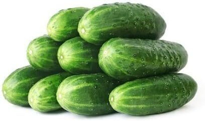 Qualtivate GBPT-6A Straight Eight Cucumber Seeds Seed(300 per packet)