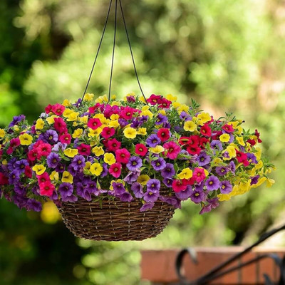 DEYS AGRO ™ Petunia Double Mix Flower Seeds for Home Garden multiple color Seed(128 per packet)