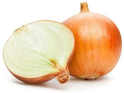 WILLVINE PAU -III F1 Hybrid Light Red Onion [25g] Seed(15000 per packet)