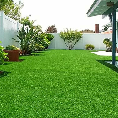 SeeGreen Maxican Carpet Grass Seeds| Barmuda Grass Seeds lawn Grass26 Seed(9025 per packet)