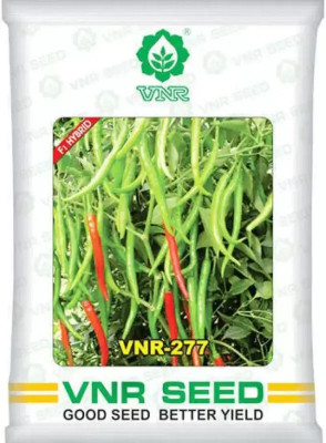 the green dotcom vnr 277 mirch hybrid Seed Seed(55 per packet)