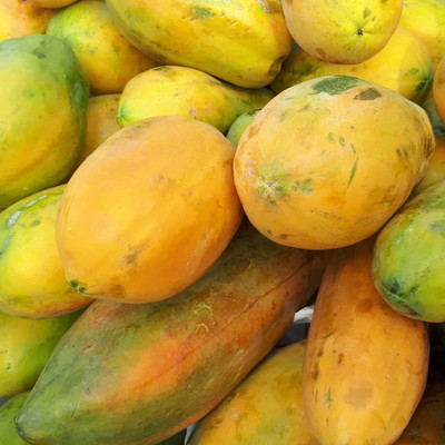 Farmonix Royale Papaya Seeds Seed(50 per packet)