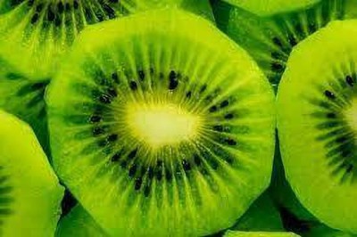 XOLDAA hybrid kiwi fruit seeds Seed(170 per packet)