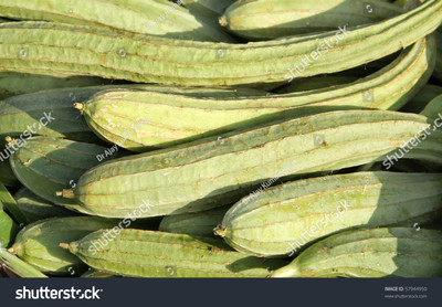 Paudhaa F1 best quality RIDGE GOURD Seed(20 per packet)