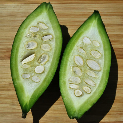GREENSEA Hybrid Pointed Gourd, Parwal, Potol Seed(24 per packet)