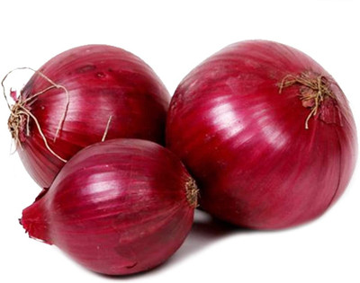 KNESSiN Nasik Onion Seed(200 per packet)