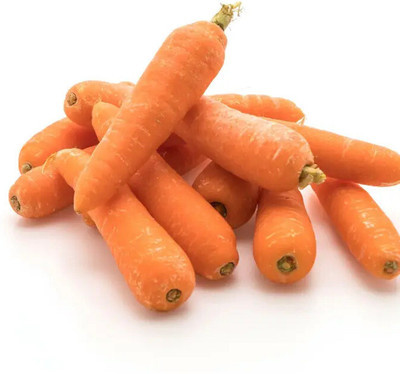 SeedHaven Carrot fresh organic Seed(100 per packet)
