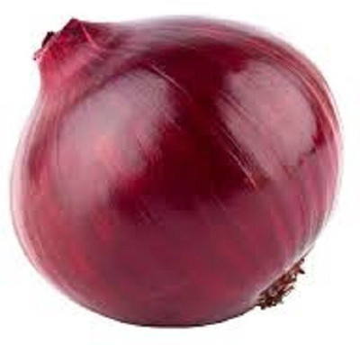 Quentova Nasik Onion Seed(200 per packet)
