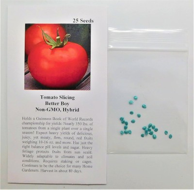 Qualtivate HYB-6A Tomato Better Boy (Red) Seed(300 per packet)