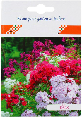 CYBEXIS Phlox Twinkle Dwarf Mix Flower Seeds Seed(1 g)
