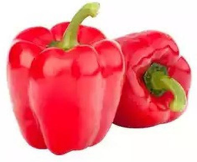 Quentova Red Queen Capsicum-3K-GAV Seed(50 per packet)
