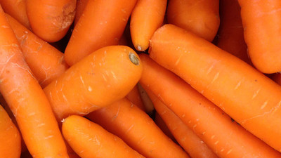 XOLDA Organic carrot Seed(15 per packet)