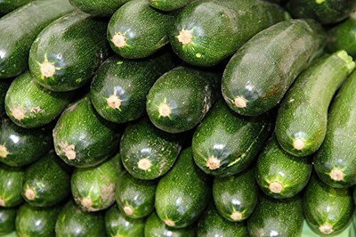 Qualtivate PUA-6A Zucchini - Black Beauty Seed(30 per packet)