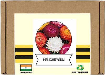 CYBEXIS Helichrysum Flower Seeds100 Seeds Seed(100 per packet)