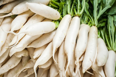 VINTI Radish Japanese Minowase Daikon Seed(2500 per packet)