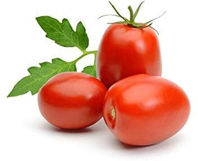 LPR TOMATOO ,TAMATAR Seed(100 per packet)