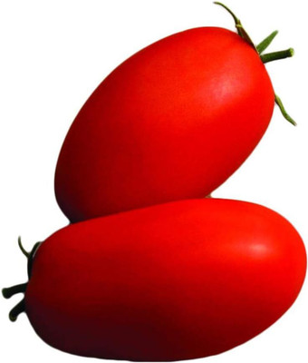 Qualtivate HYB-6A Supremo Hybrid Tomato Seed(300 per packet)