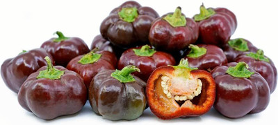 KNESSiN Mini Chocolate Capsicum Bell Pepper Seeds Seed(500 per packet)