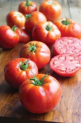 KNESSiN F1 Hybrid Big Daddy Tomato Seeds For Hydrophonics - (2000 Seeds) Seed(2000 per packet)