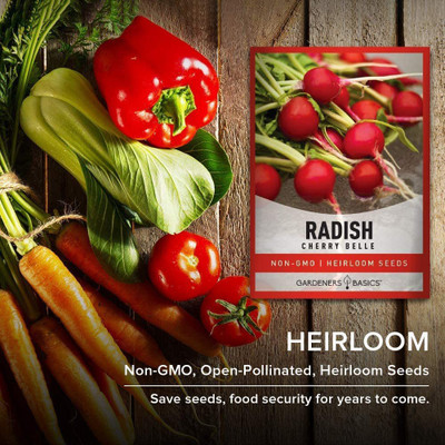 VibeX XLR-74 - Cherry Belle Radish - (750 Seeds) Seed(750 per packet)