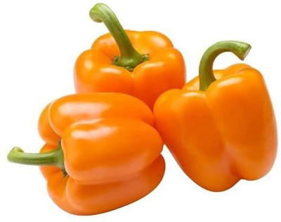 DIVINE CAPSICUM Seed(100 per packet)