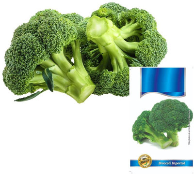 CYBEXIS XLL-35 - Sunking Broccoli - (150 Seeds) Seed(150 per packet)