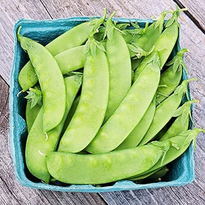 Qualtivate PUA-3A Oregon Sugar Pod Peas Seeds Seed(200 per packet)