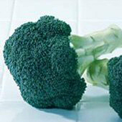 WILLVINE KGF -XVI Green Magic Broccoli Seeds [10g] Seed(3000 per packet)