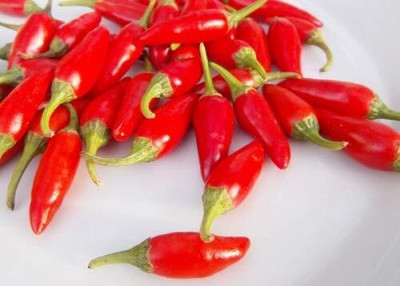 KNESSiN Bullet Chilli[400 Seeds] Seed(400 per packet)