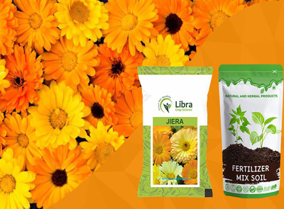 NATURAL AND HERBAL PRODUCTS Calendula Officinalis Fiesta Gitana for Farming | Flower | Pot Marigold | Hybrid Seed(62 per packet)