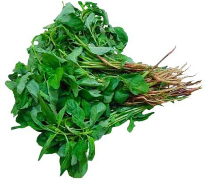 WILLVINE XLR-614 Cholai Saag (Green Amaranthus) Seed(500 per packet)
