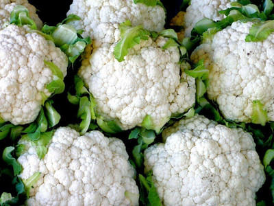 Qualtivate HUA-7A Snowball Improved Cauliflower Seeds Seed(300 per packet)