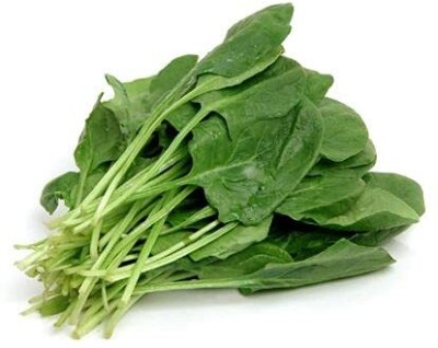 CRGO SPINACH , PALAKH Seed(250 per packet)