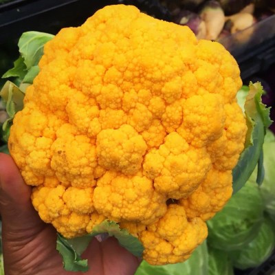 VibeX ® VXI-326 F1 Hybrid Yellow Cauliflower Seeds Seed(200 per packet)