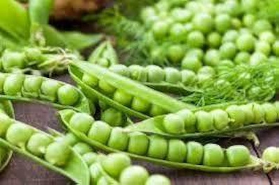 BDSresolve Organic Pea Seeds pack of 36 Seed(36 per packet)