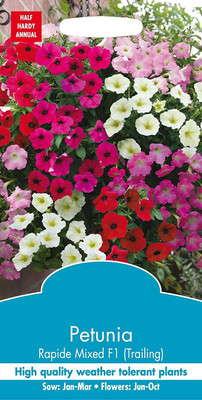 CYBEXIS Petunia Rapide Mixed F1 Seed(1 g)