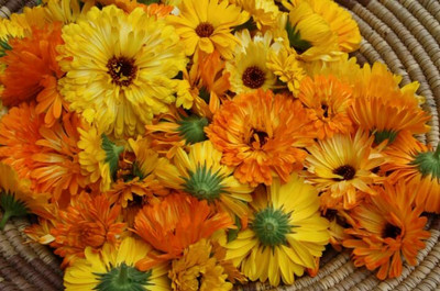 Aywal Calendula Seed(20 per packet)