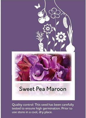 CYBEXIS Sweet Pea Seed(50 per packet)