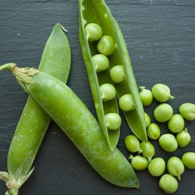 MYLAWN Green Peas Matar Seed(1000 per packet)