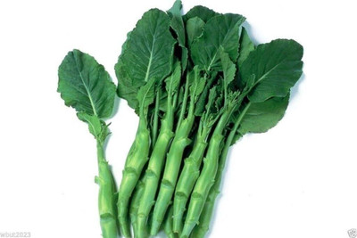 WILLVINE NKR -VII Chinese Broccoli,Kai Lan,Gai Lan [1g] Seed(300 per packet)